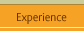 Experience